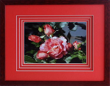 Jeri's Rose with 4 Oriental Red mats